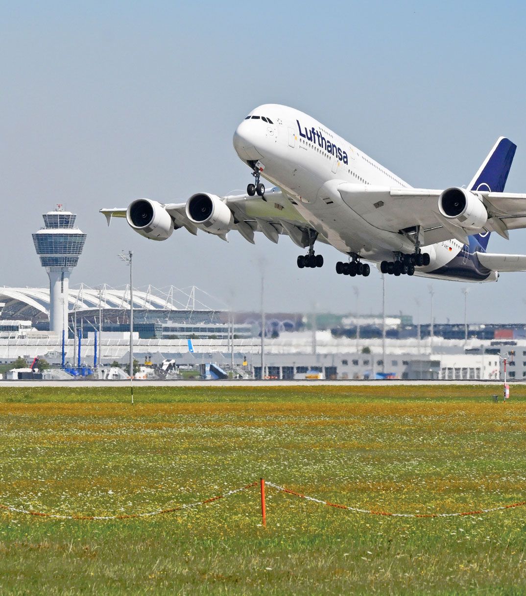 Ein Lufthansa-Airbus A380 hebt vom Flughafen München ab; im Hintergrund der Tower und Terminalgebäude, im Vordergrund eine blühende Wiese.